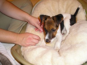 Éjjeli menedékhely. Szerintünk.:-)