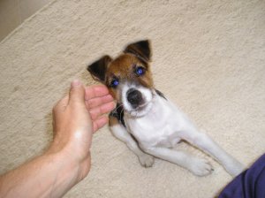 Gazdi és az Ő kisfia...