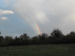 A Szivárványhíd...