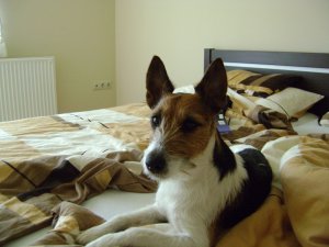 Reggel, aztán velünk ébred...