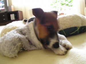 Azért még figyellek...