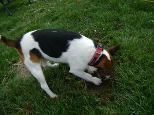 Beszélgessetek csak, én addig dolgozom...