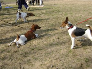 Mikor mehetünk már?