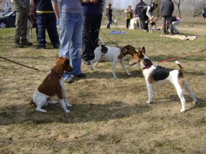 Rám sem bagóznak...