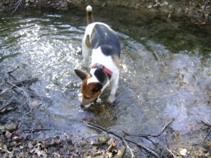 Már szeretem a vizet...