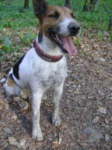 Mi van? Ez csak sár. Lejön...