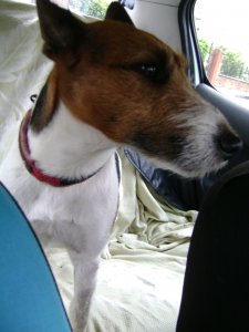 Ha közelebb megyek, jobban érzed?