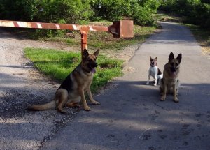 Még mindig nálam van a finomság...