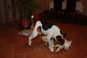 Játék bontogatás...