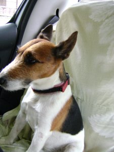 Ilyen kis helyem van...