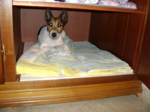 Átmeneti biztonságban...