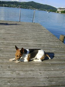 Mami még úszik, addig őrködöm...