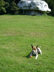 Gyere vedd el, és dobd...