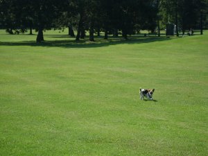 Futókörünk egy részlete...
