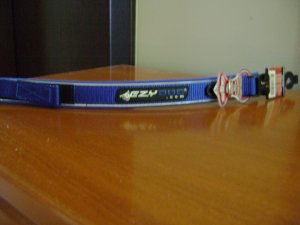 Az új nyakörv. A rétre nem ebben viszem...