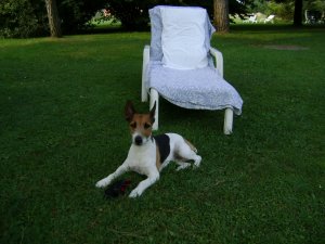 Ejtőzünk, olvasunk...