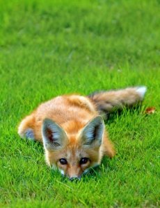 Vajon, figyel minket valahonnan?