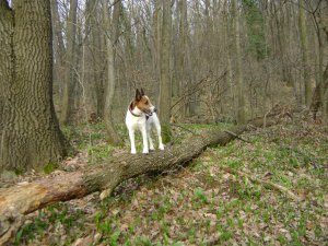 Valaki van itt rajtunk kívül...