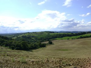 Ilyen volt a kukorica...