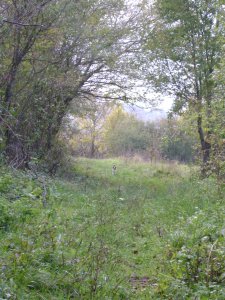 Van aki mindig lemarad, és várni kell rá. Spy türelmesen vár, a meeting point-nál...