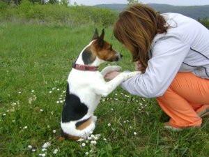 Az én terápiás kutyám!