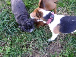 Legjobb közös képük...