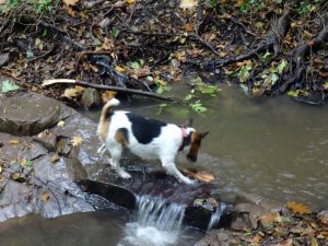 Kihorgászom, ez a jó, nem ami a parton van!