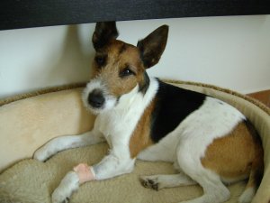 Orvosnál jártunk...