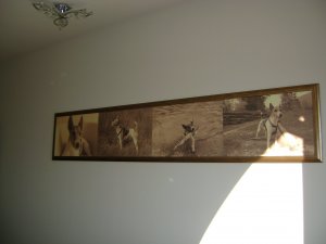 Csak ennyire volt itthon...