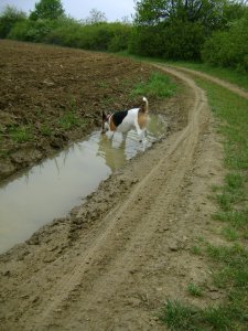 Kicsit sáros az út...