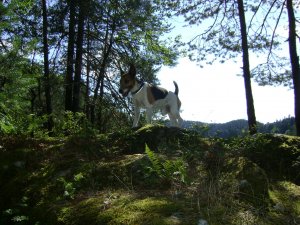 A sziklás oldalon...