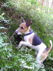 Tudom, hogy itt van!