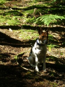 Szerencsétlenül ülök, mert azt mondtad, hogy maradjak itt!