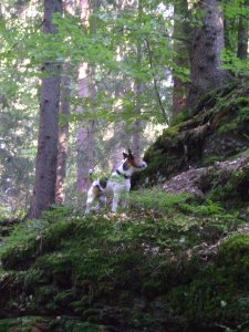 Percek múlva előkerült...