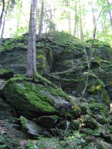 A fotóalany eltűnt...