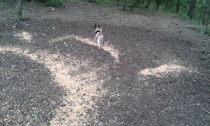 Takarmány, a belső körön...