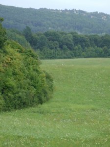 A kis fehér folt, Spy...