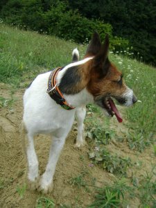 Húzz innen! Ez az én Mamim...