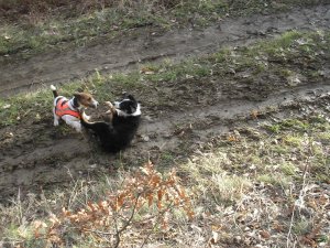 Nem Őt panírozta, de valahogy így csinálja...