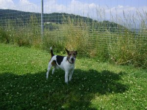 Háttérben a hegyek...