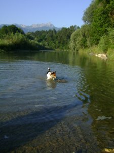 Háttérben a Júlia Alpok...