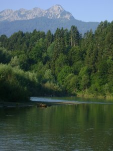 Reggel a Draunál...