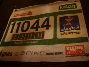 Az egyik rajtszámunk...