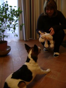 A Tiéd lesz, de nem most...