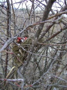 Betárazva télire...