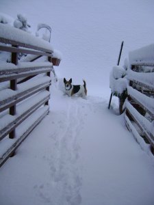 Spyke kitaposta az utat...