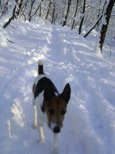 Végre van egy ösvény...