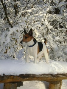 Kedvenc téli tájképem...