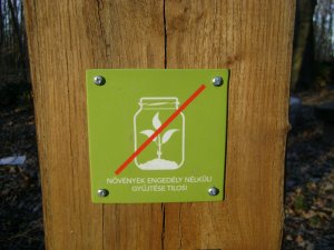 Hm, fogós kérdés...