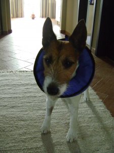 Mint egy festmény...